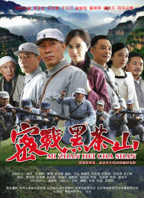 第二婚的小妻子